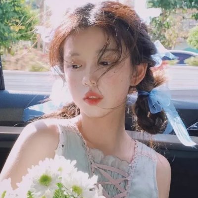 法网追凶